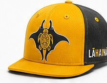 Yellow / Gray cap